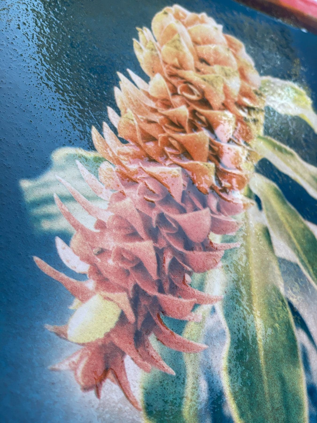 Flower with droplets.