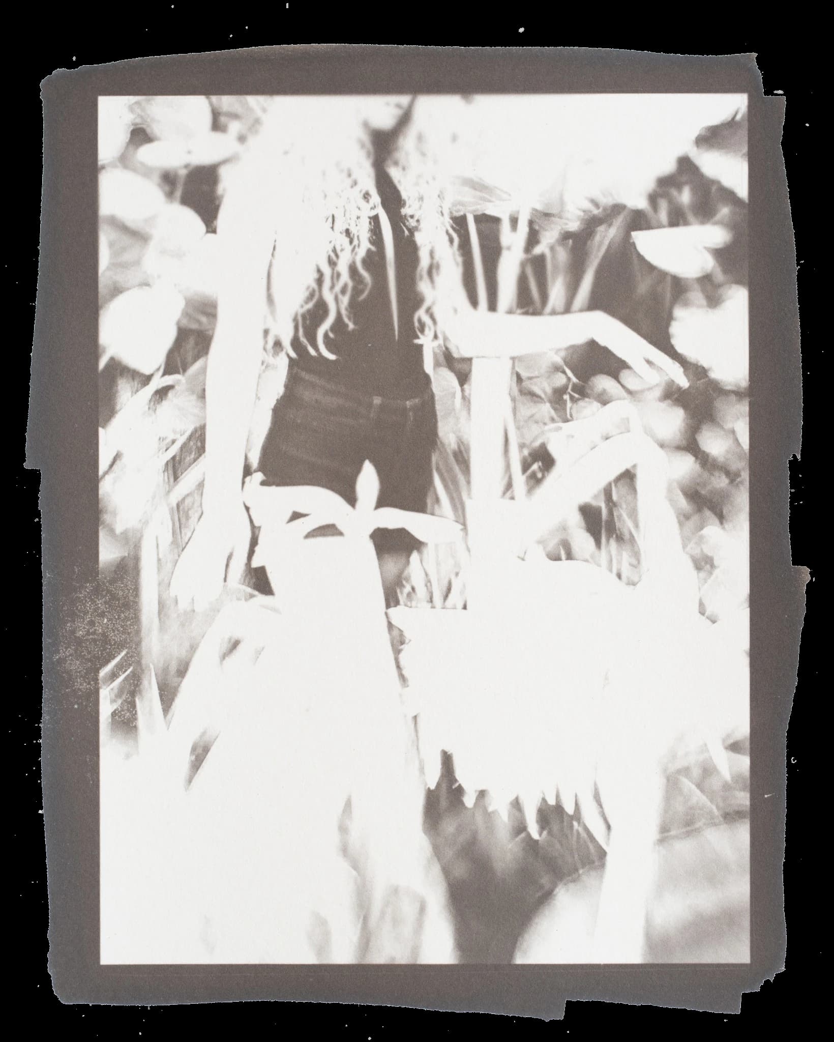 First Layer — Ziatype