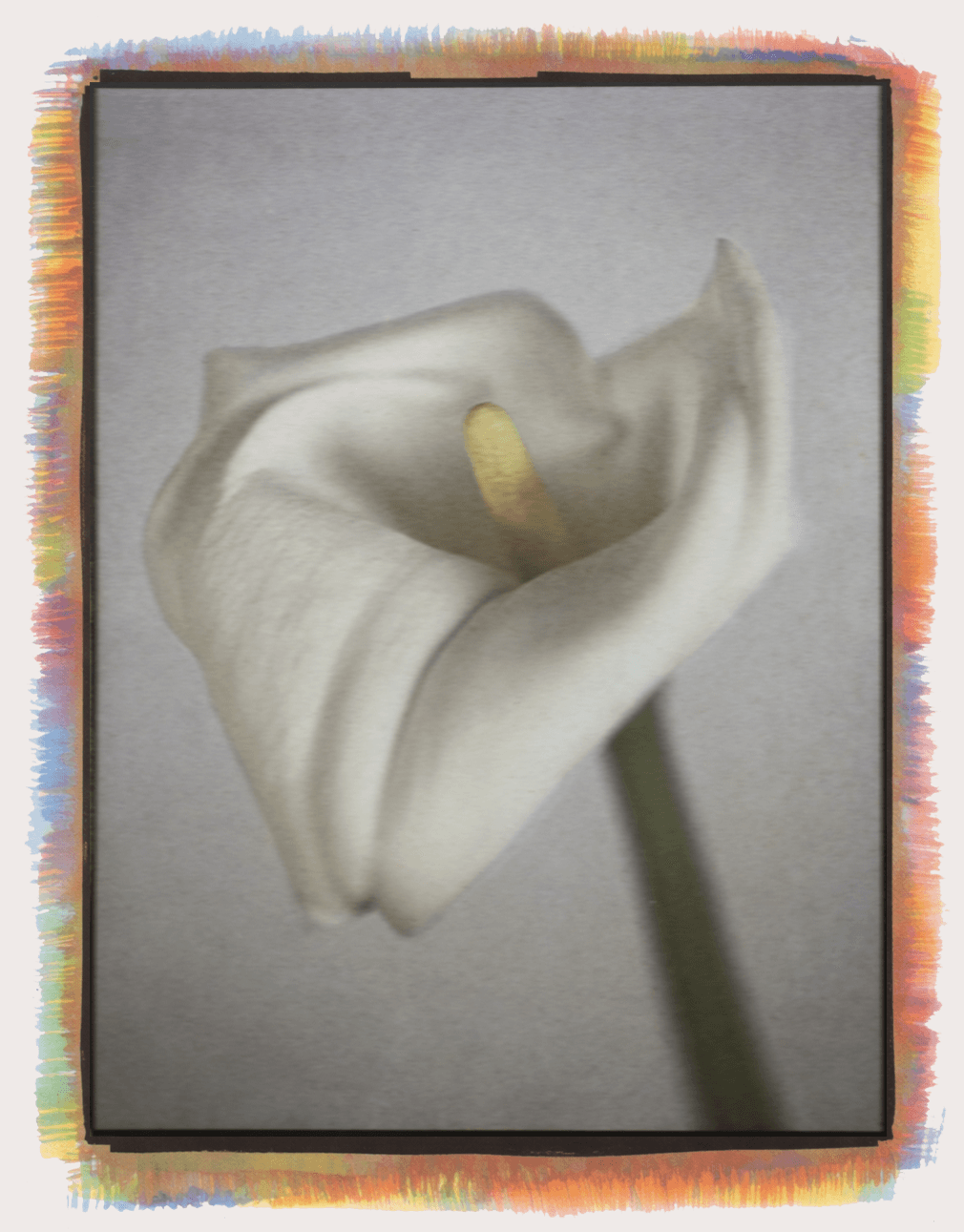 Gum bichromate print detail.