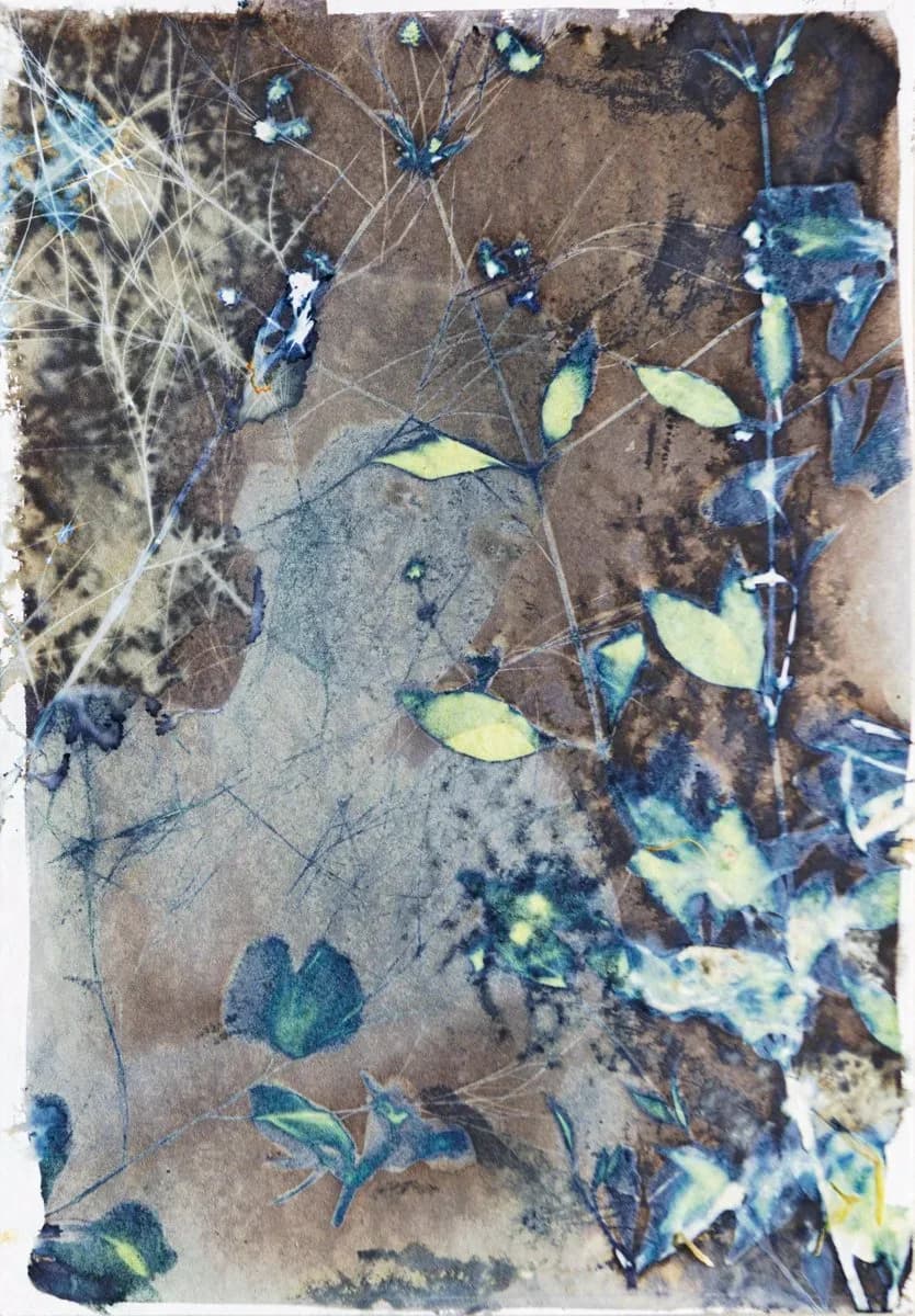 Cyanotype