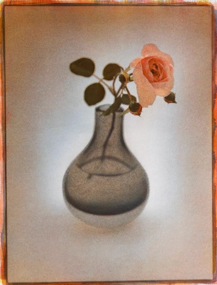 19- Rose in black vase #03, Tricolor Gum over Cyanotype