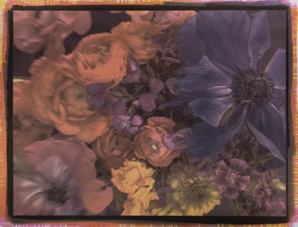 21- Flowers, Tricolor Gum Bichromate over Ziatype