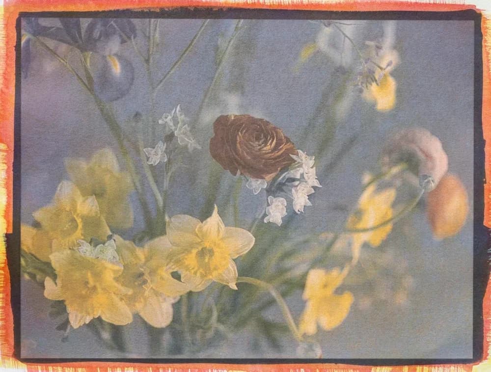24- Flowers Bouquet, Tricolor Gum Bichromate over Cyanotype