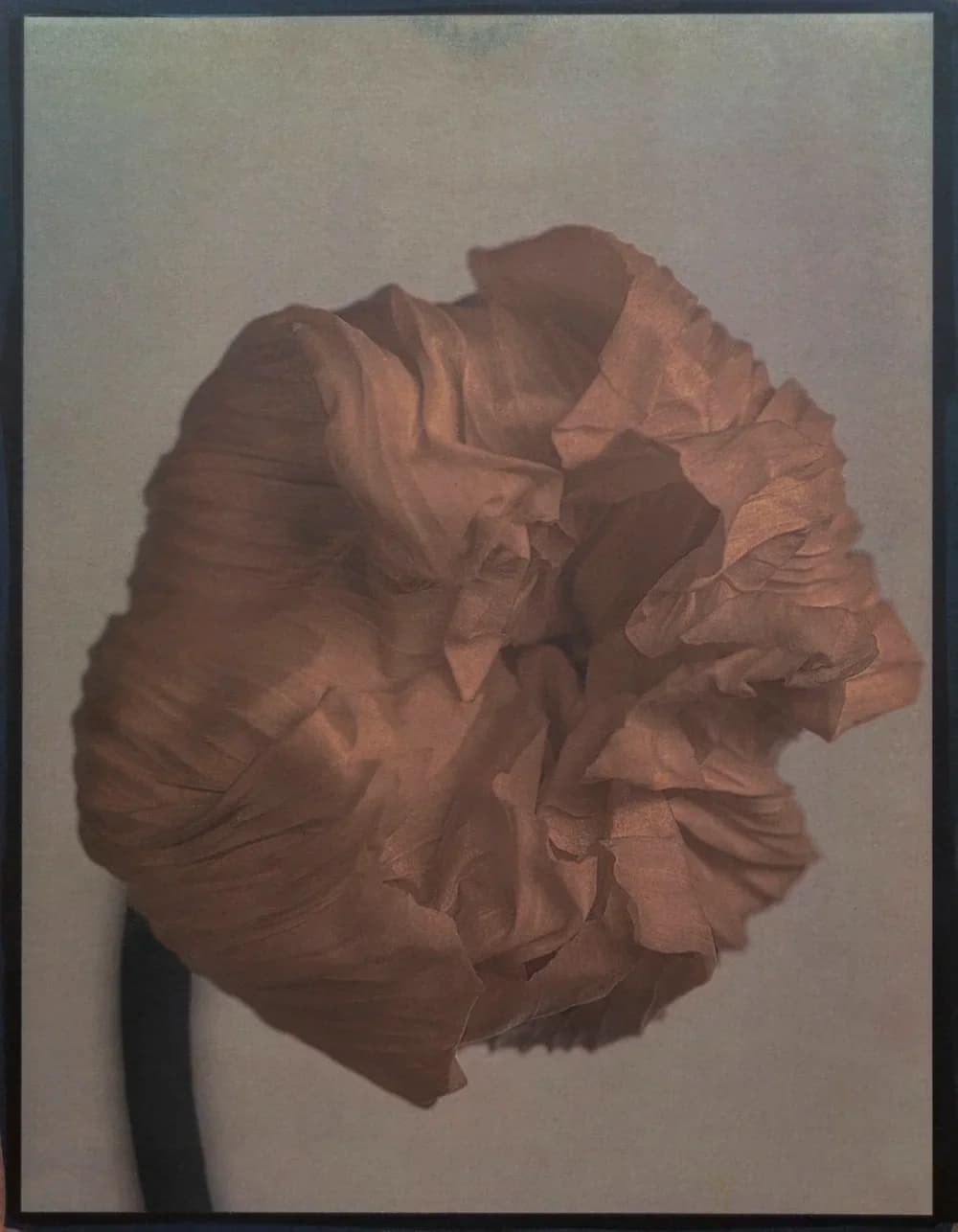 27- Goma bicromatada cuatricromía sobre cianotipo sobre Malde Ware