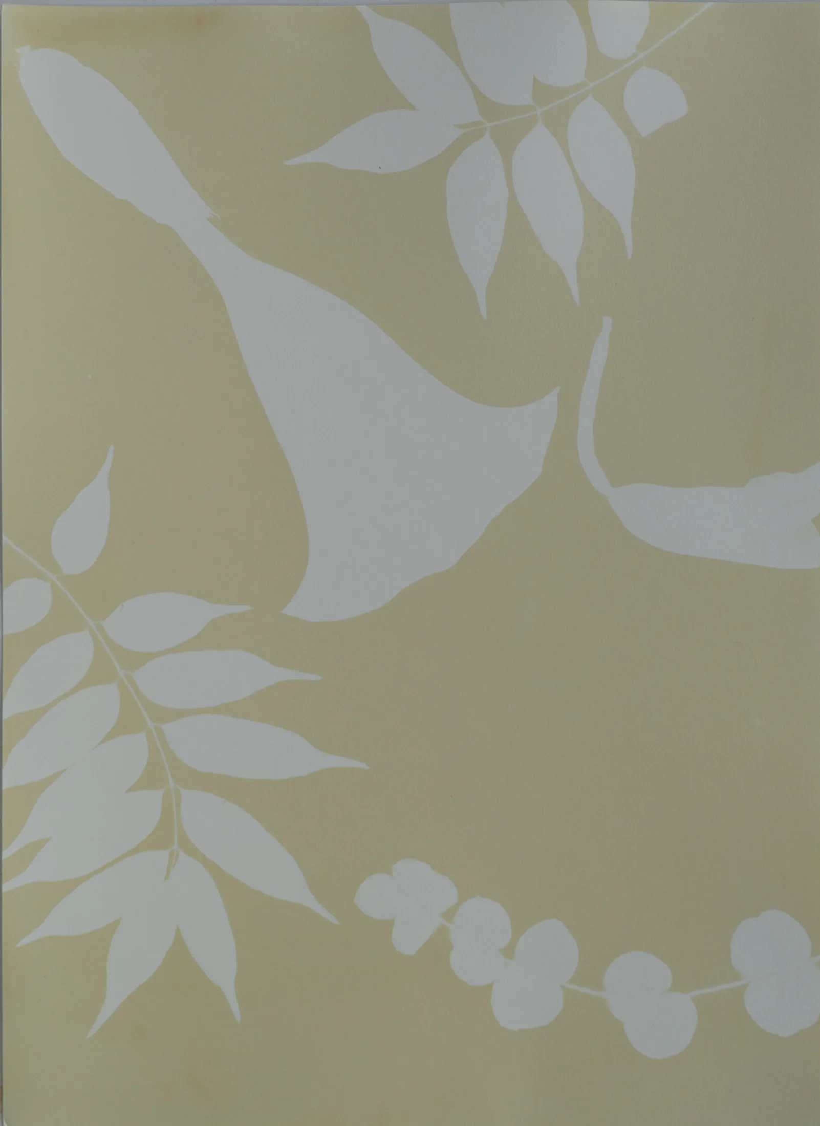 Mural XVI