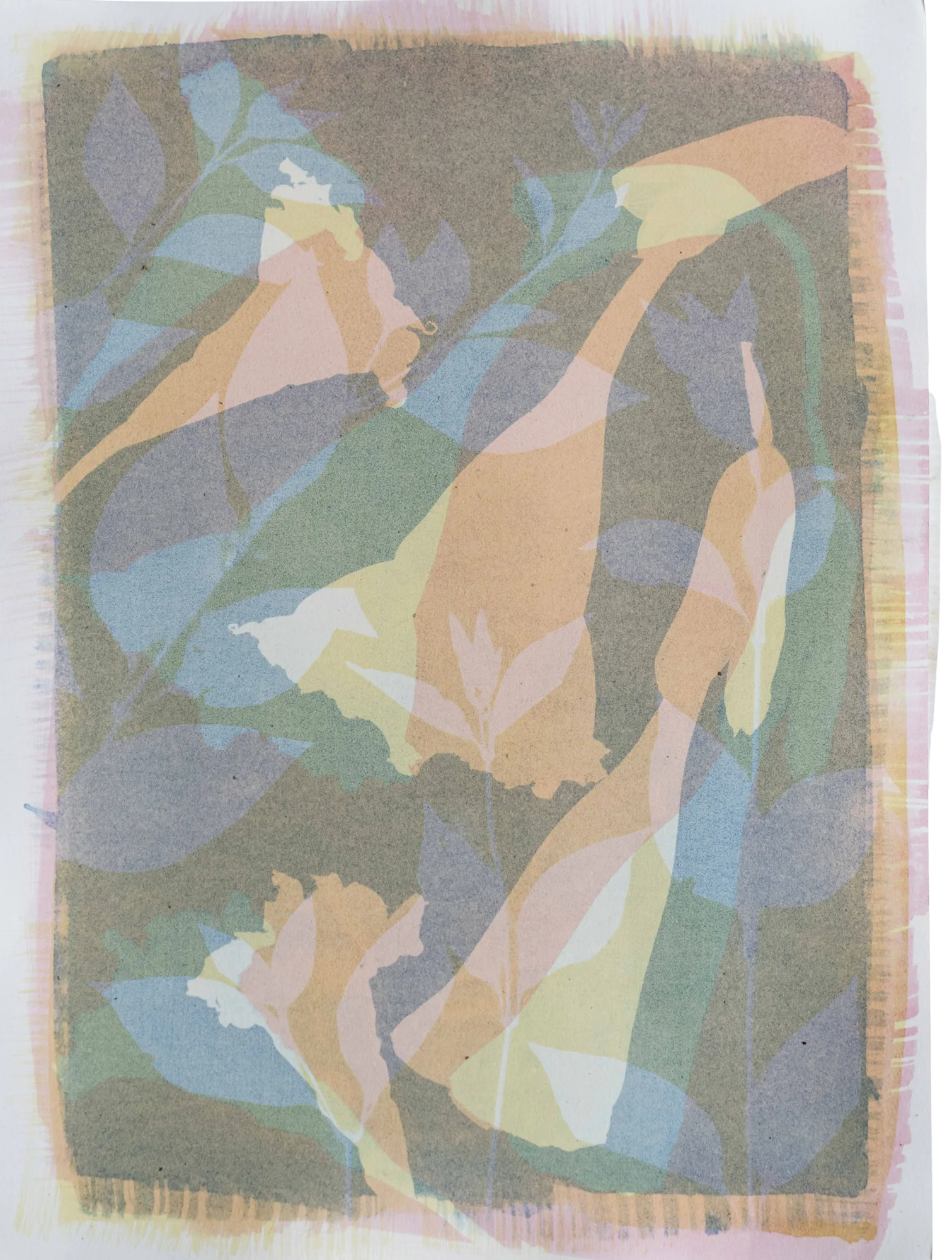 Collage V