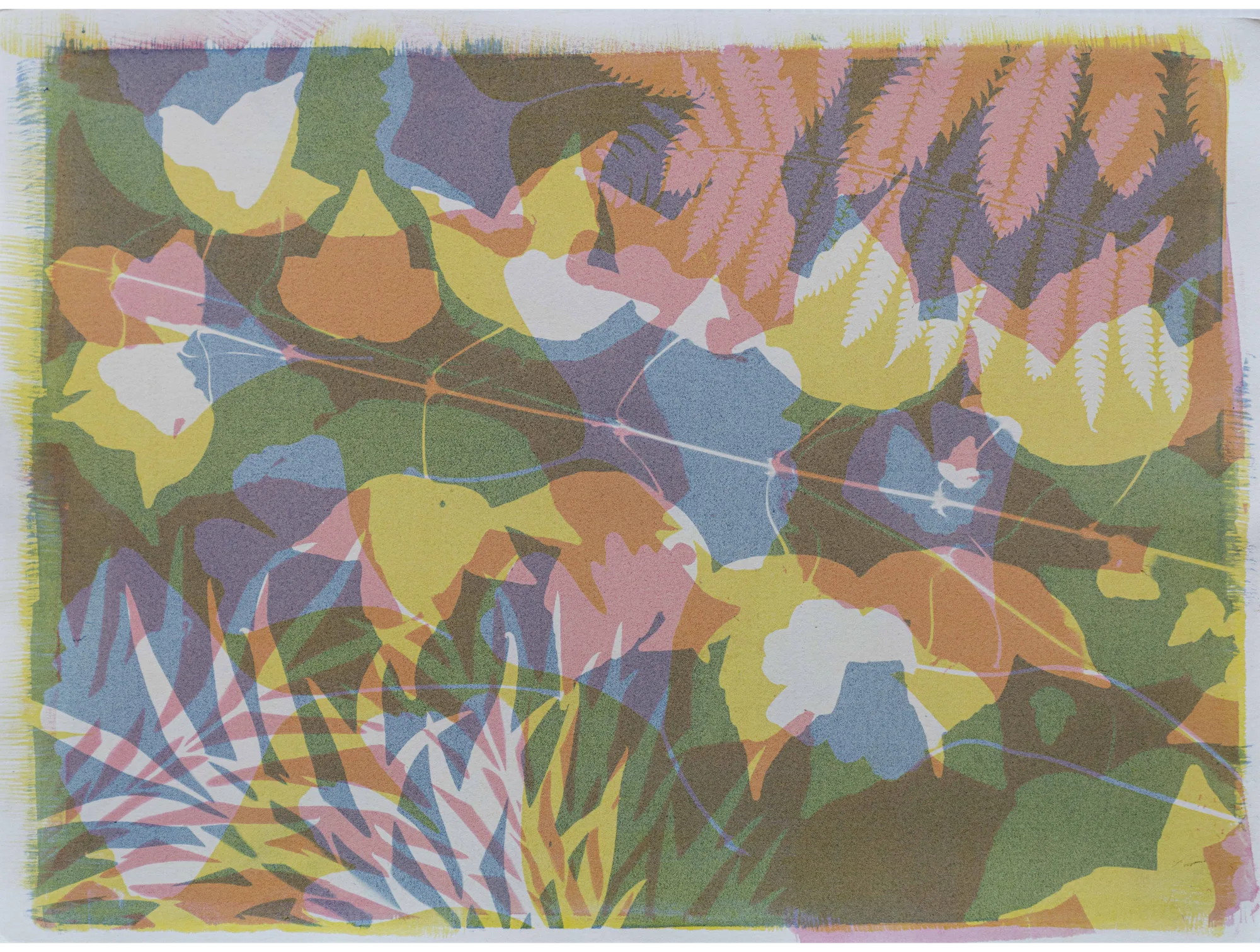 Collage XIV