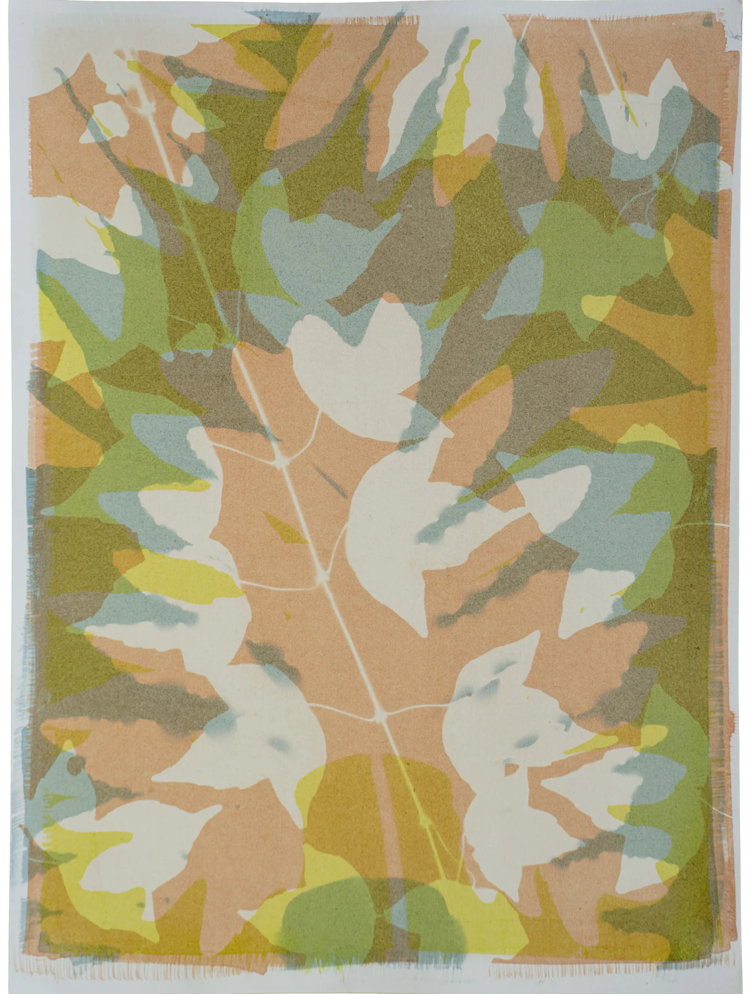 Collage XVIII