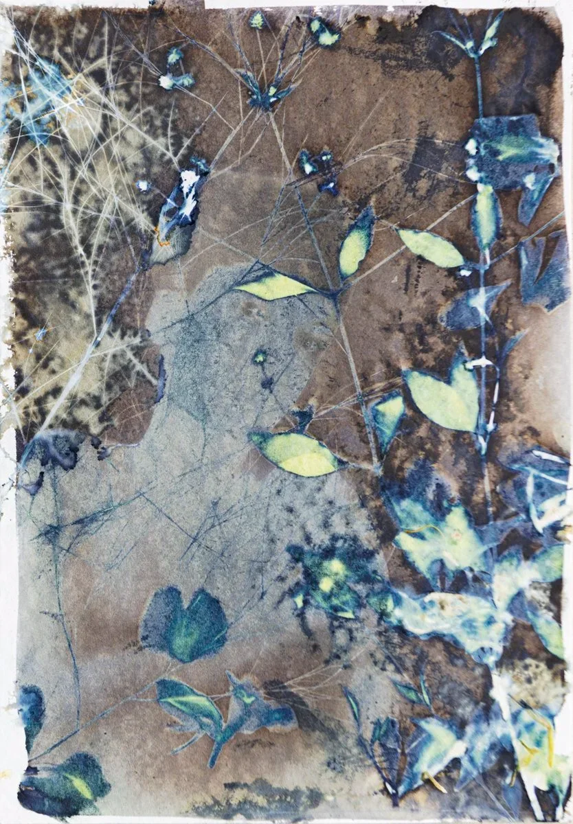 Cyanotype