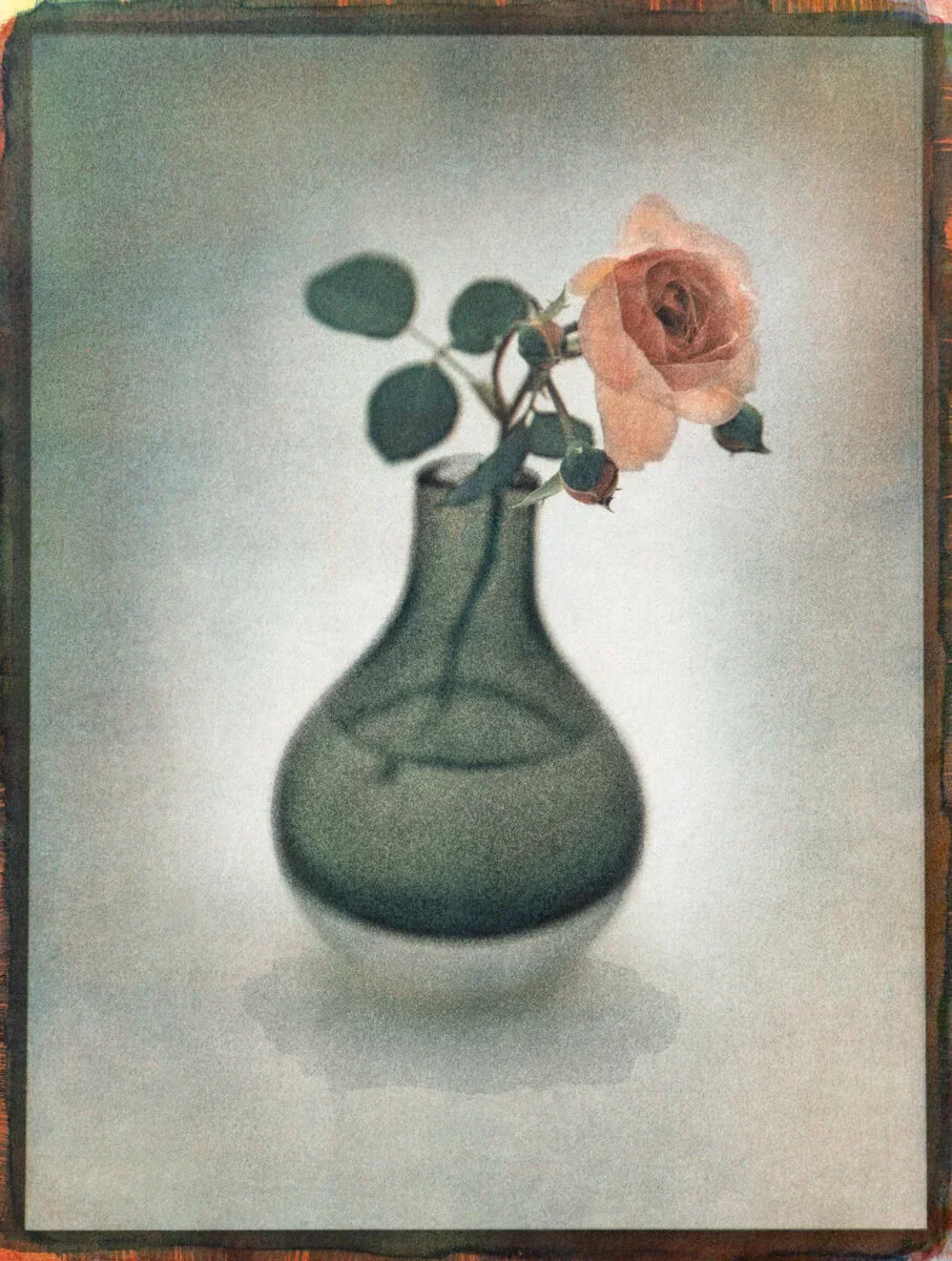 20- Rose in black vase I - Tricolor Gum over Cyanotype