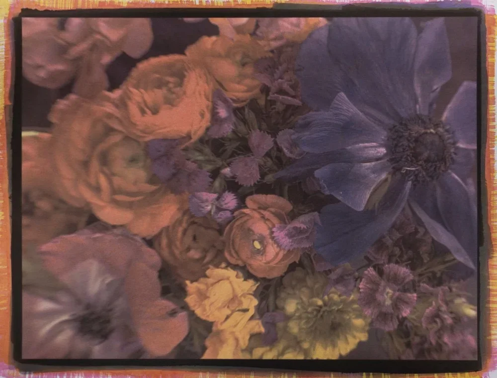 21- Flowers, Tricolor Gum Bichromate over Ziatype