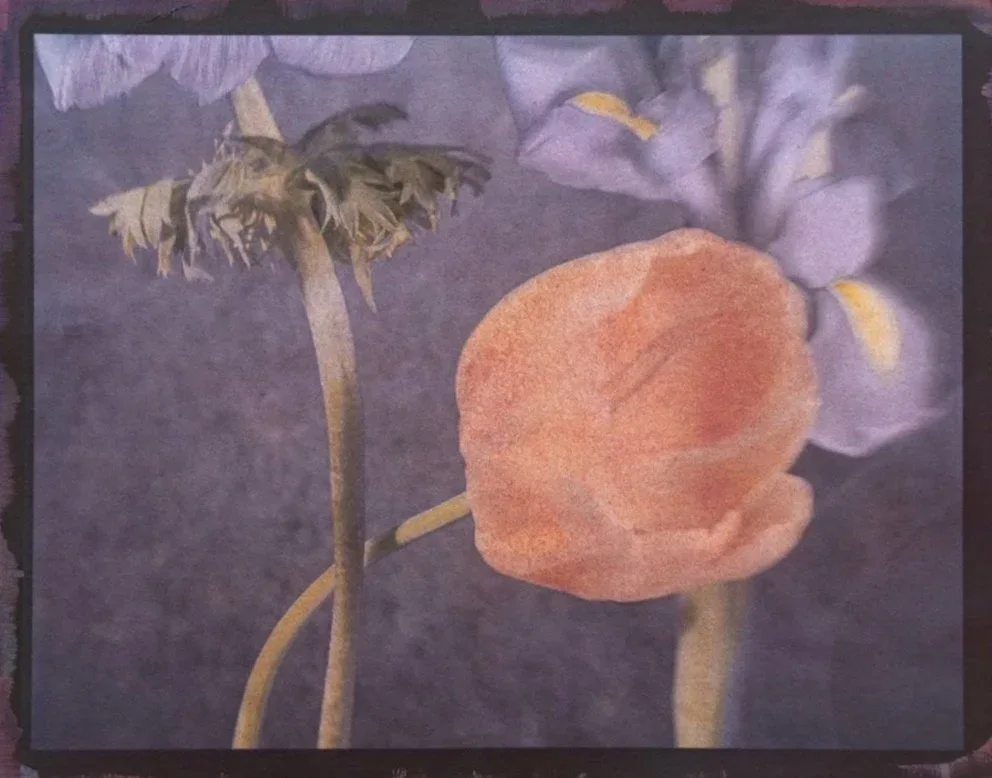 23- Tulip with Irises, 2021. Tricolor Gum Bichromate over Cyanotype over Ziatype