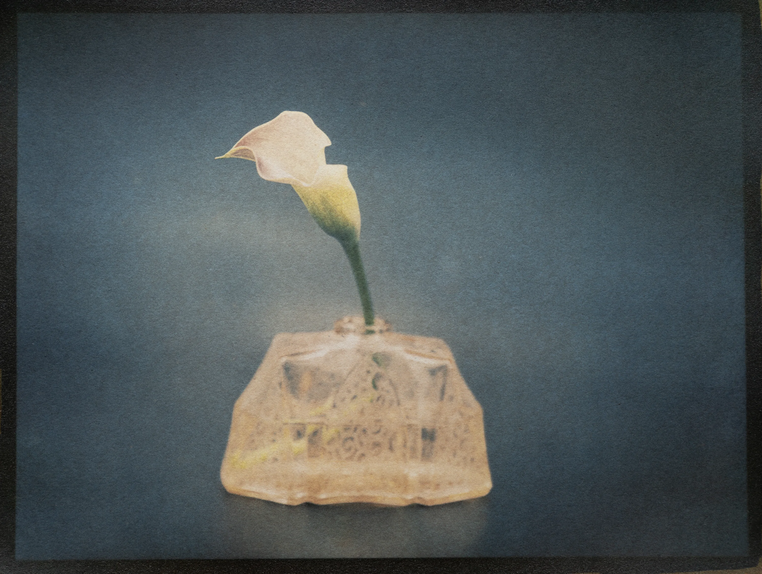 29- Calla in Vase. Tricolor Gum Bichromate over Cyanotype